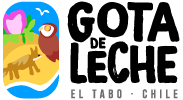 casinos online que mas pagan